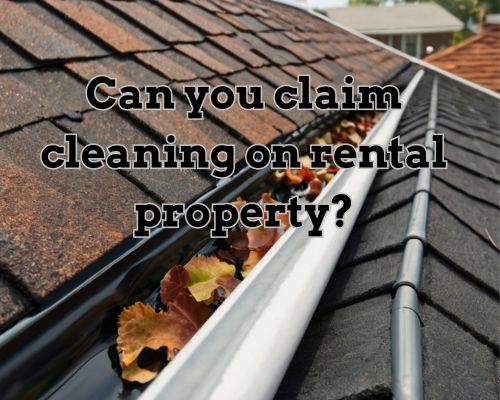 dirty-roof-gutter