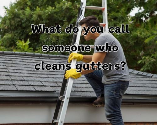 gutter-cleaner-in-a-ladder