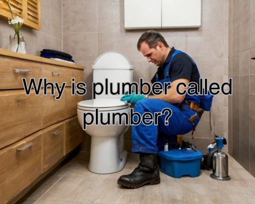 a plumber fixing the toilet