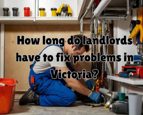 a plumber working in Victoria