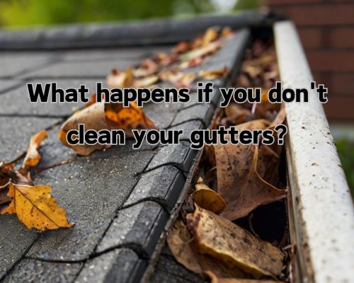 an uncleaned gutter guards with many dead leaves