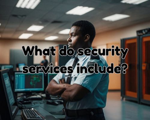 a security personnel deploy in IT room