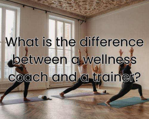 a wellness training with coach
