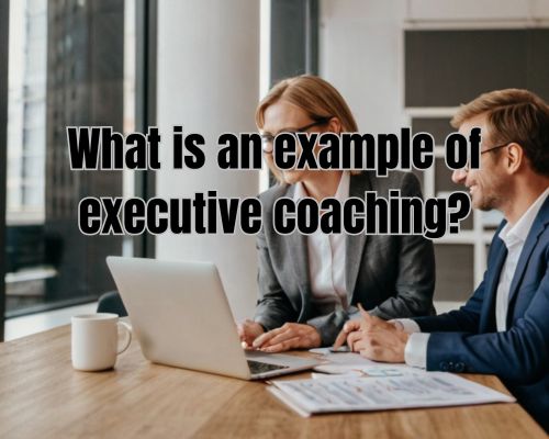 an executive coaching