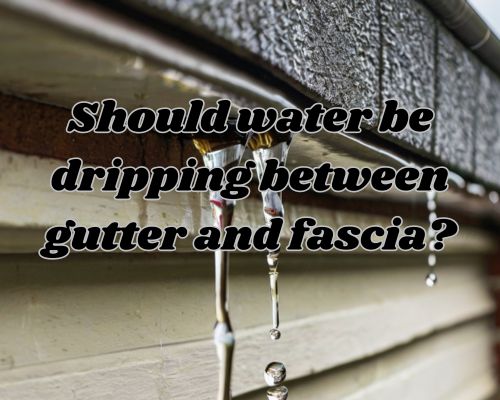 Water drips from the gutter onto the fascia