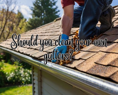 a homeowner cleaning and removing leaves from his roof gutter
