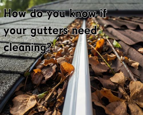 a roof gutter full of leaves in need of cleaning maintenance