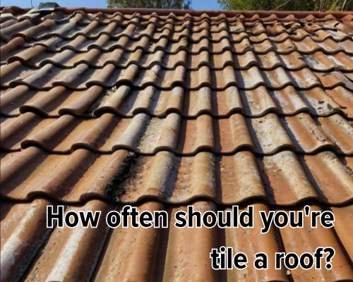 a dirty tile roofing in need of maintenance