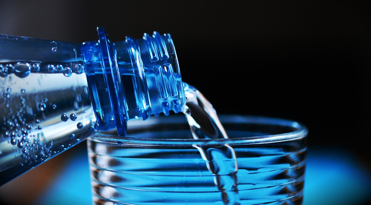iron bacteria water filter
