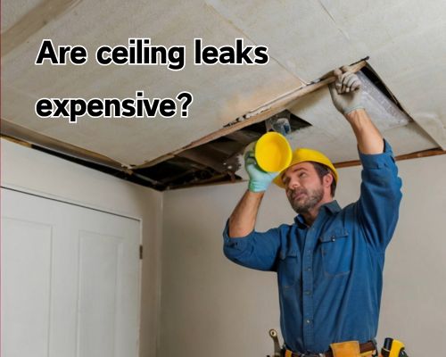 A person fixes a leaking ceiling in a living room