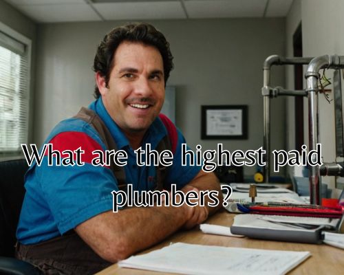 Plumber receives salary with gratitude.