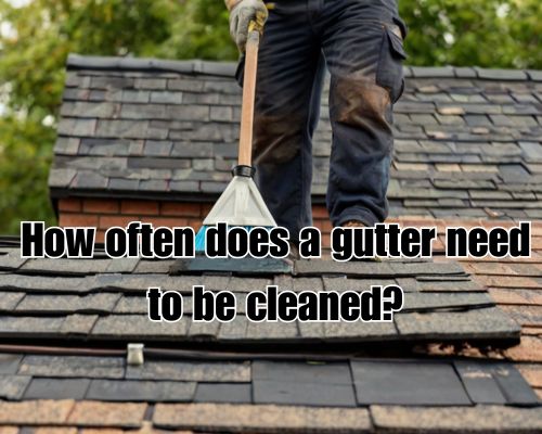 Gutter mess calling for cleaning.